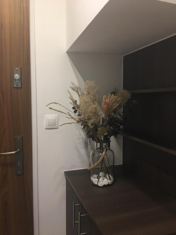 Home Apartment Шопрон Екстер'єр фото